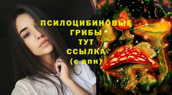 мескалин Приозерск